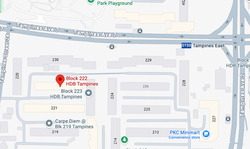 Blk 222 Tampines Street 24 (Tampines), HDB 4 Rooms #631393081